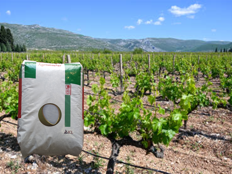 Primena Agromaster djubriva 10-11-21 u vinogradarstvu